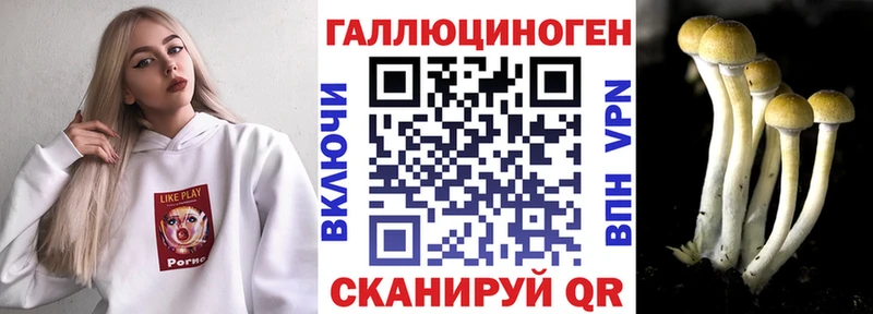 Галлюциногенные грибы Magic Shrooms  Ершов 