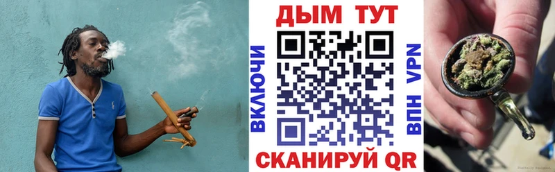 Каннабис MAZAR  Ершов 